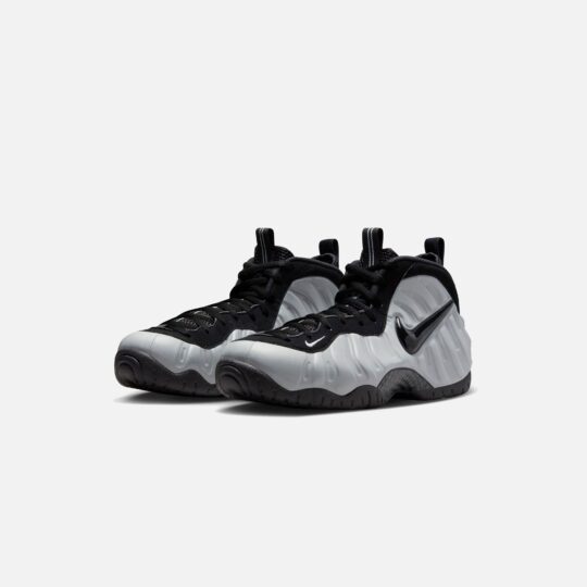 Nike Air Foamposite Pro - Wolf Grey / Black - view 2