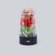 Wonderchef Nutri-blend Premier - Long Jar with Black Base Set.