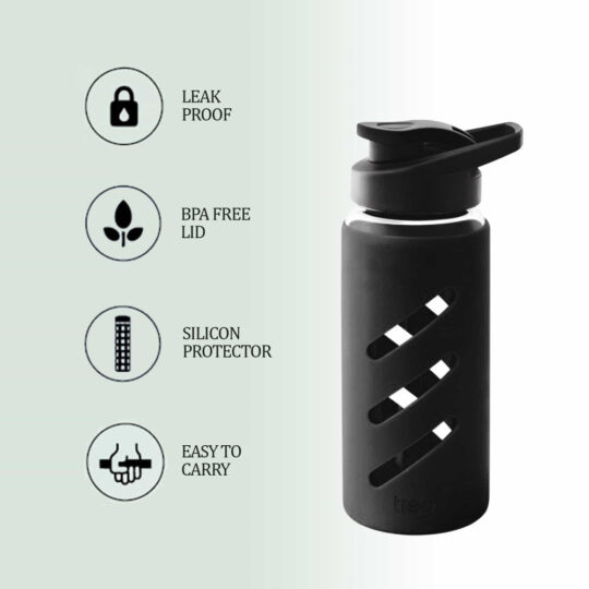 Proteger Glass Bottle (Treo by Milton)