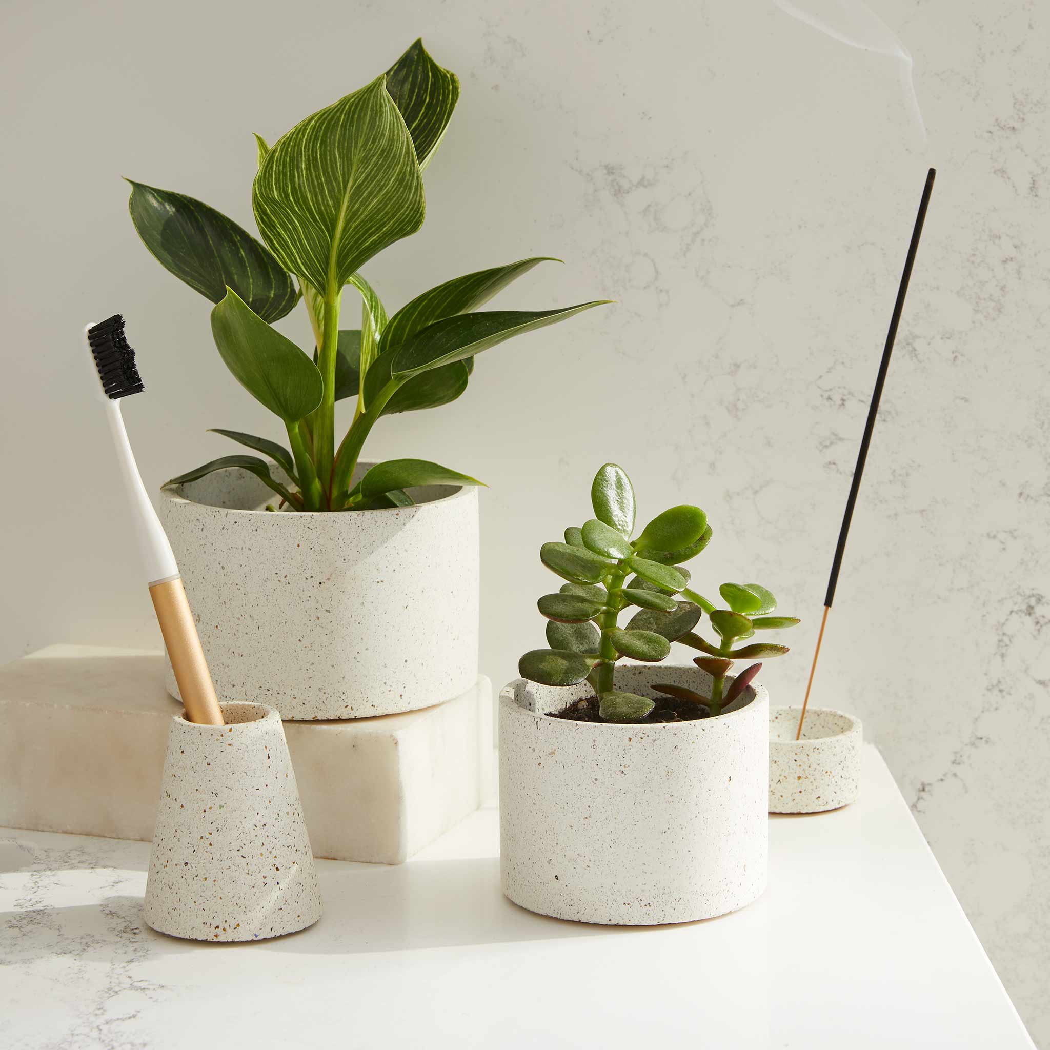 Pretti.Cool Toothbrush Holder - view 9
