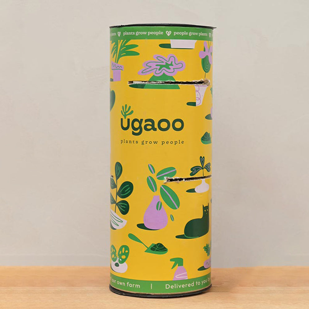 Ugaoo Hamper 2 for MyEra - view 12
