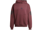 adidas Future Icons 3-Stripes Hoodie Aurora Ruby/Brown