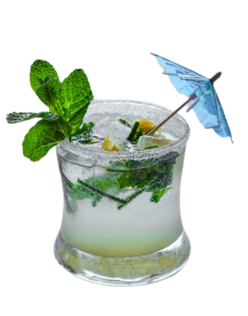 BlackTree Virgin Mojito