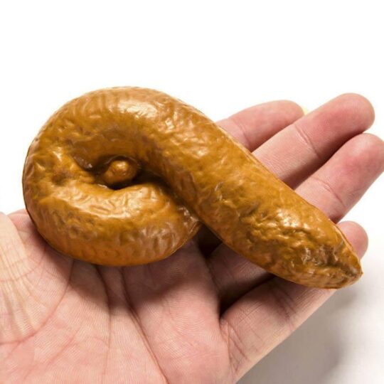 VinnyC Fake Poop