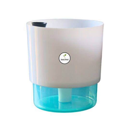 Seed2Plant HydroGlow Effortless Self-Watering Indoor Planter