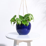 Ugaoo Forma Handmade Ceramic Planter