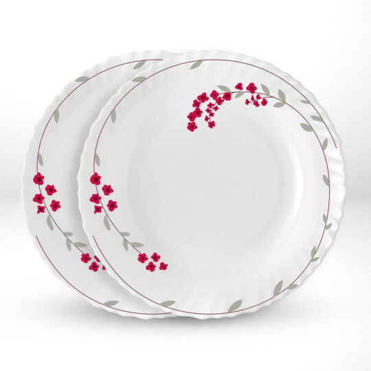Verona noodle soup – My Borosil Larah by Borosil Verona Noodle / Soup Plate Set