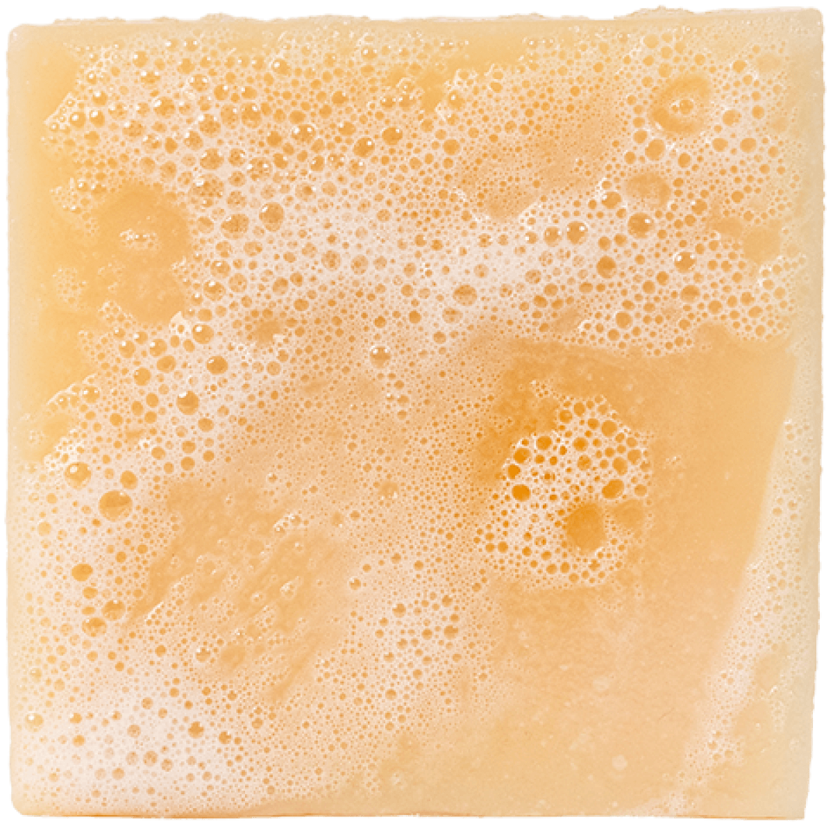 Alpine Sage Soap by BlackTree (Dr.Squatch) - view 5