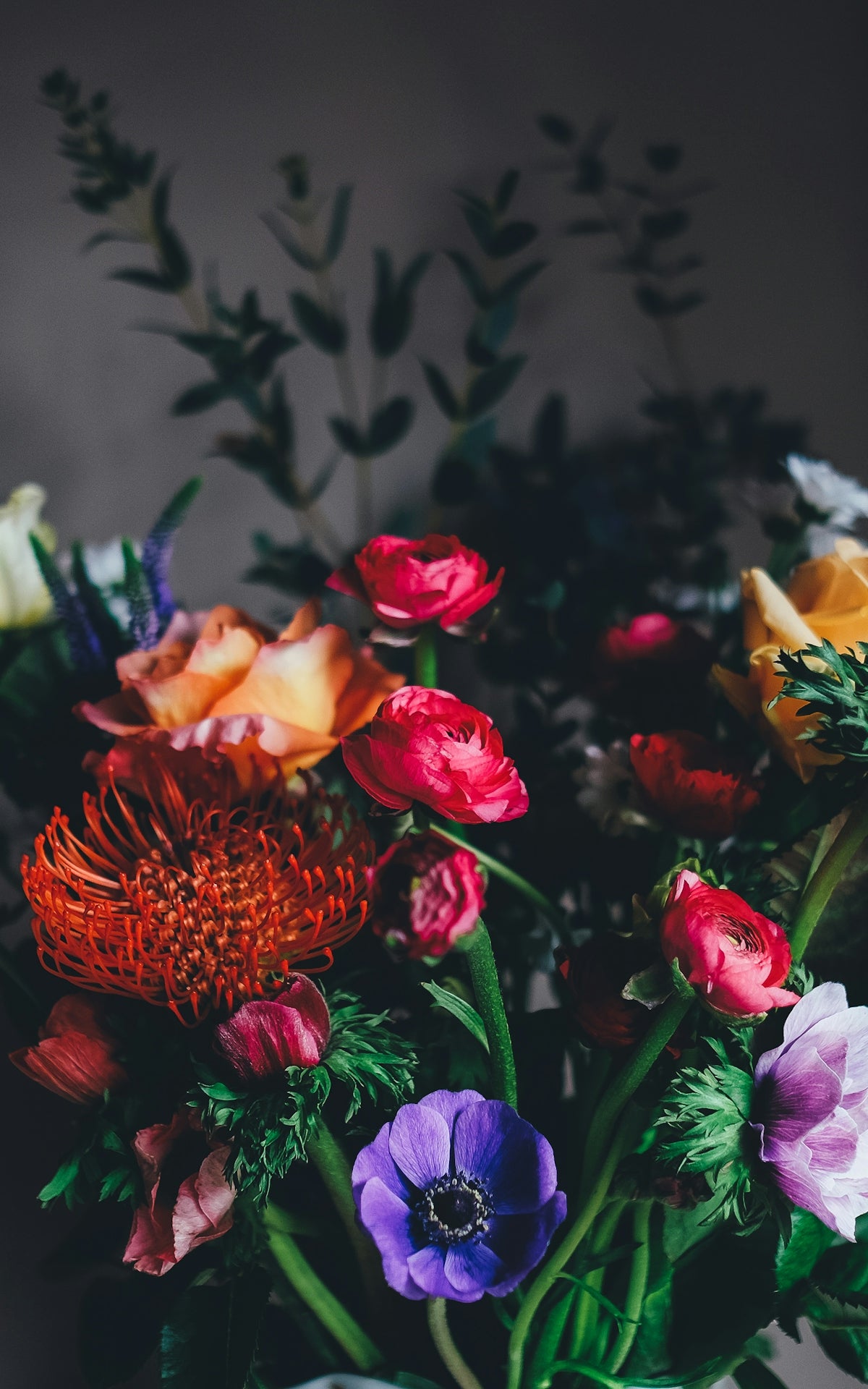 Taste the Whimsy of Tinted Cotton Candy Fuzzy Roses for Valentine’s Day and Midnight Flower Deliveries Online Across India