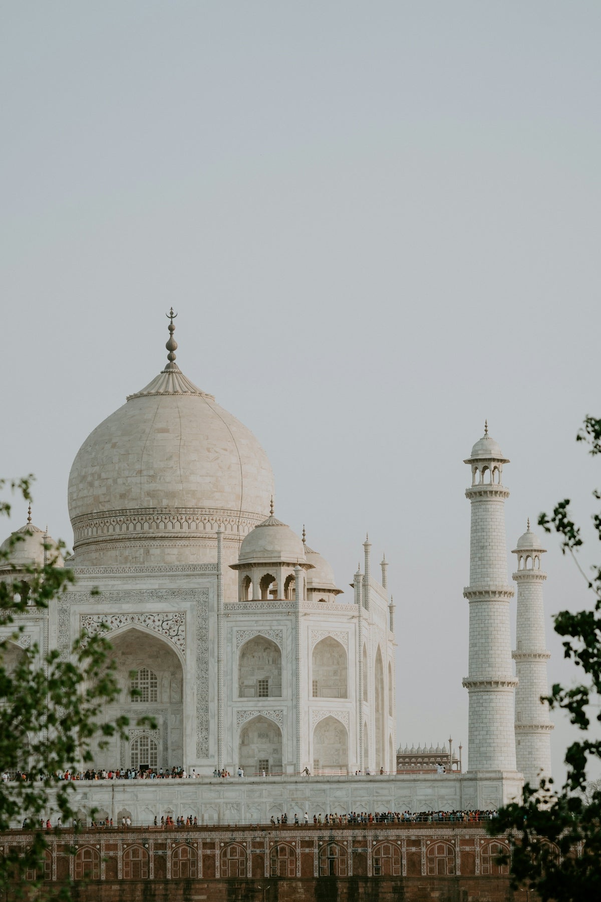 The History and Evolution of Premium iPhone Cases in India