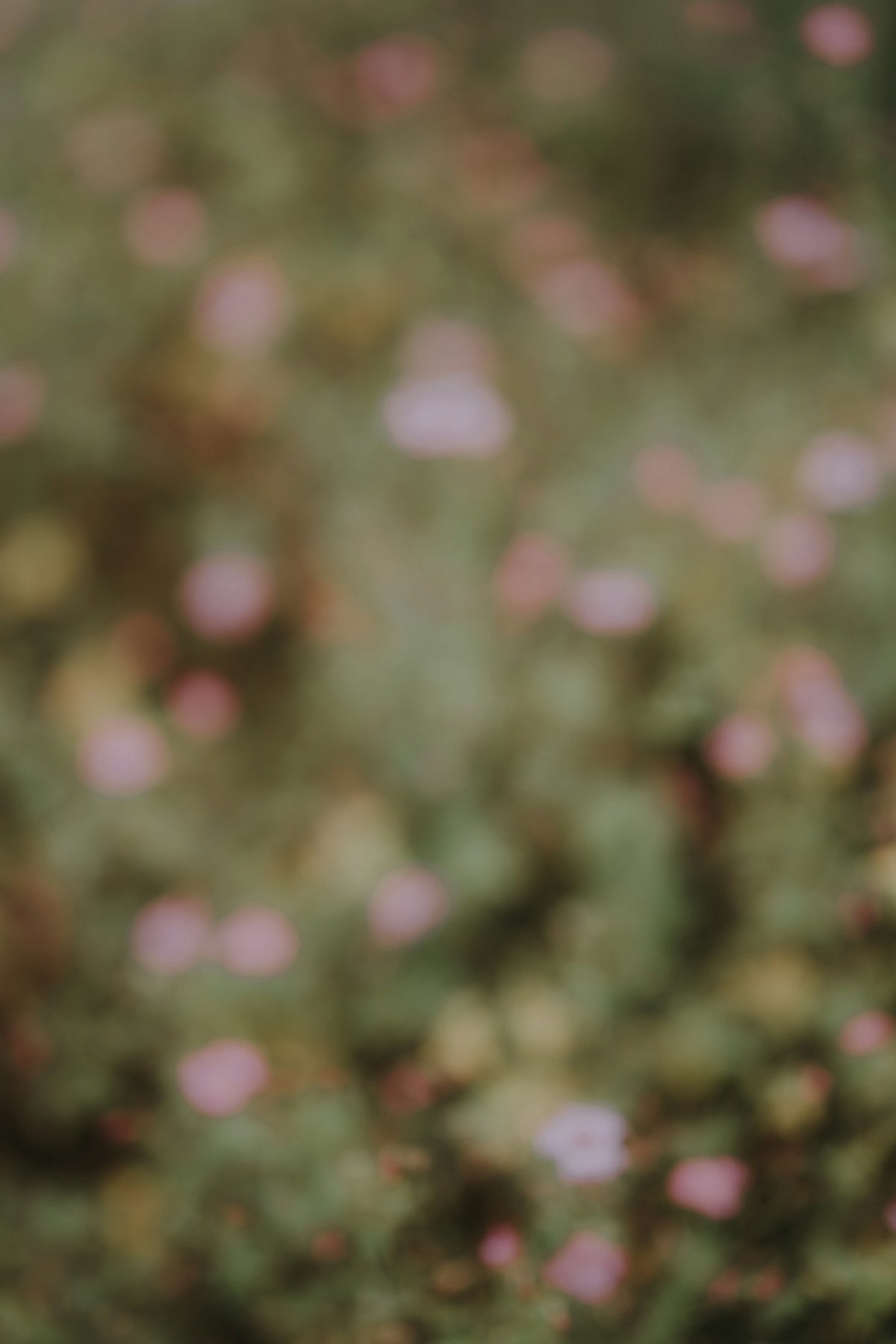 Forest fairytale wedding – The Ultimate Guide to Crafting Forest Fairytale Wedding Dreams with Flowers and Online Delivery in India