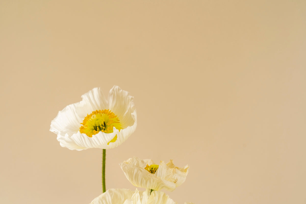 Exploring Flower Trends: Send Flowers Online in India for Weddings Birthdays and Midnight Surprises with Fresh Rose Bouquets and Valentine’s Day Blooms
