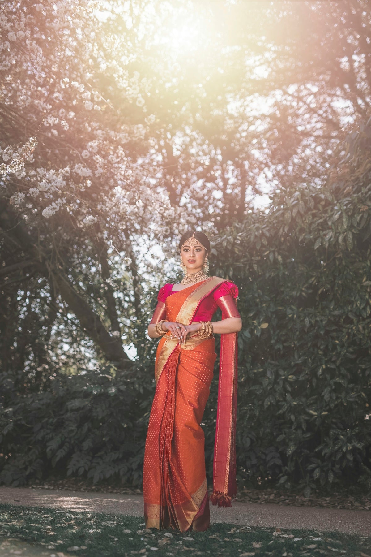 Latest Saree Blouse Designs for 2026: A Style Forecast