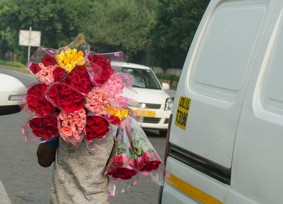 Explore Unique Gifts: Rhipsalis Micrantha Succulent for Valentine’s Day and Anniversary with Send Flowers Online India and Midnight Delivery