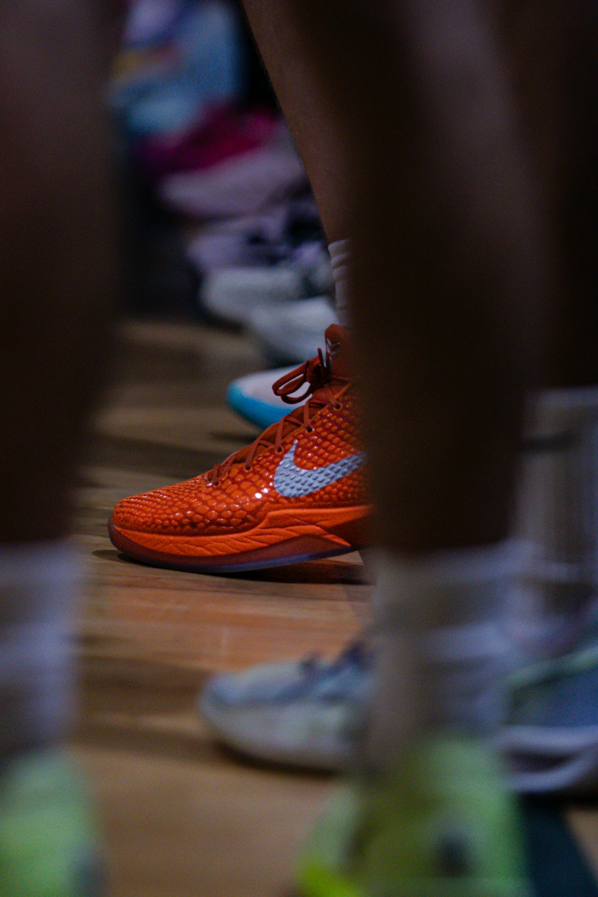 Untangling the World of Sports Shoes: A Guide for All Puma and Reebok Fans